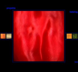 Screenshot der Webseite für den Fotografen Wolfgang Meier