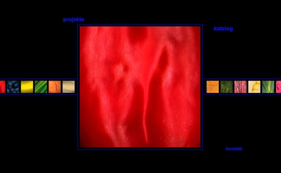 Screenshot der Webseite für den Fotografen Wolfgang Meier